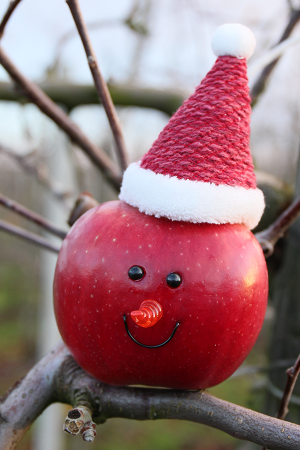 Äpfel in der Küche